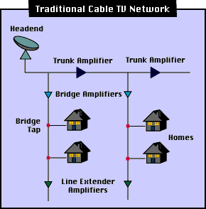 What are some good cable television networks?